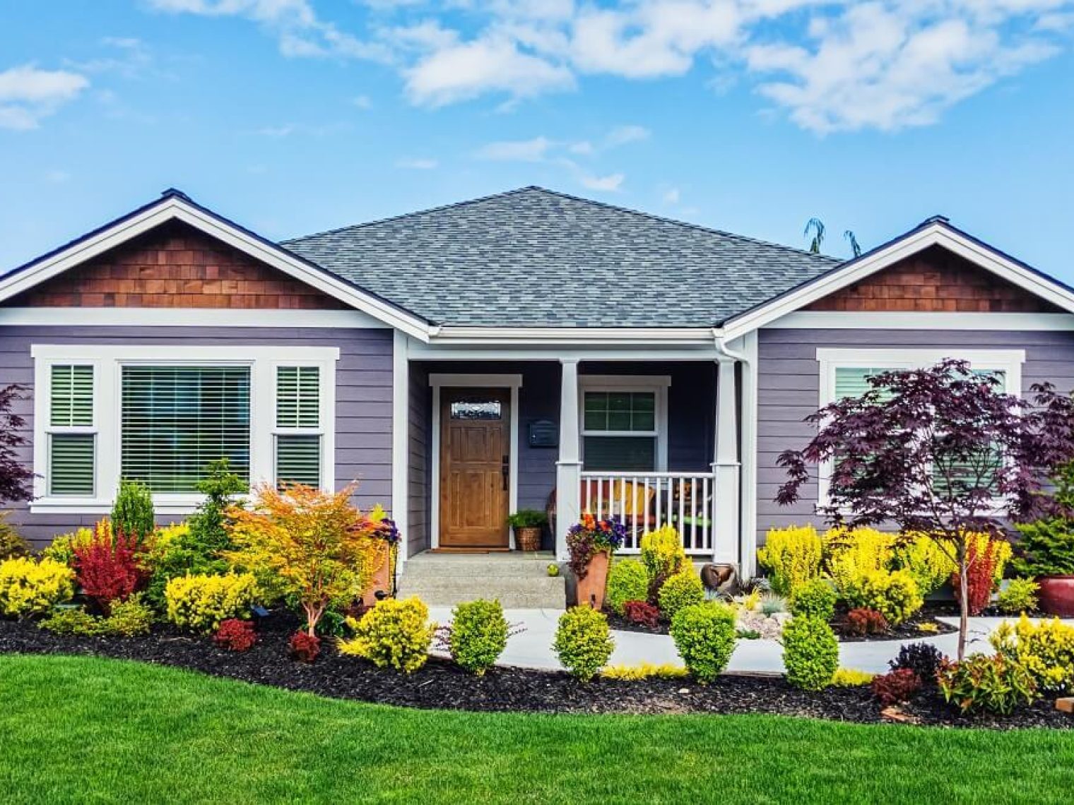 Front view of a purple house with a well groomed garden.