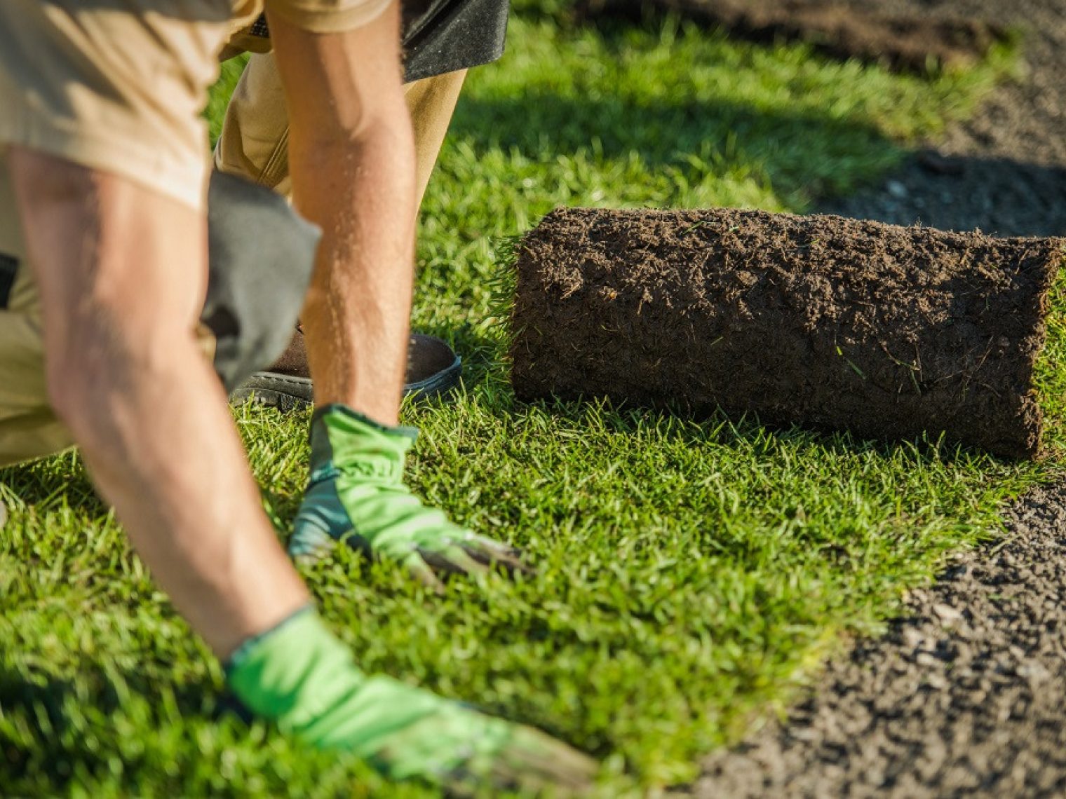 Close up of man laying sod.