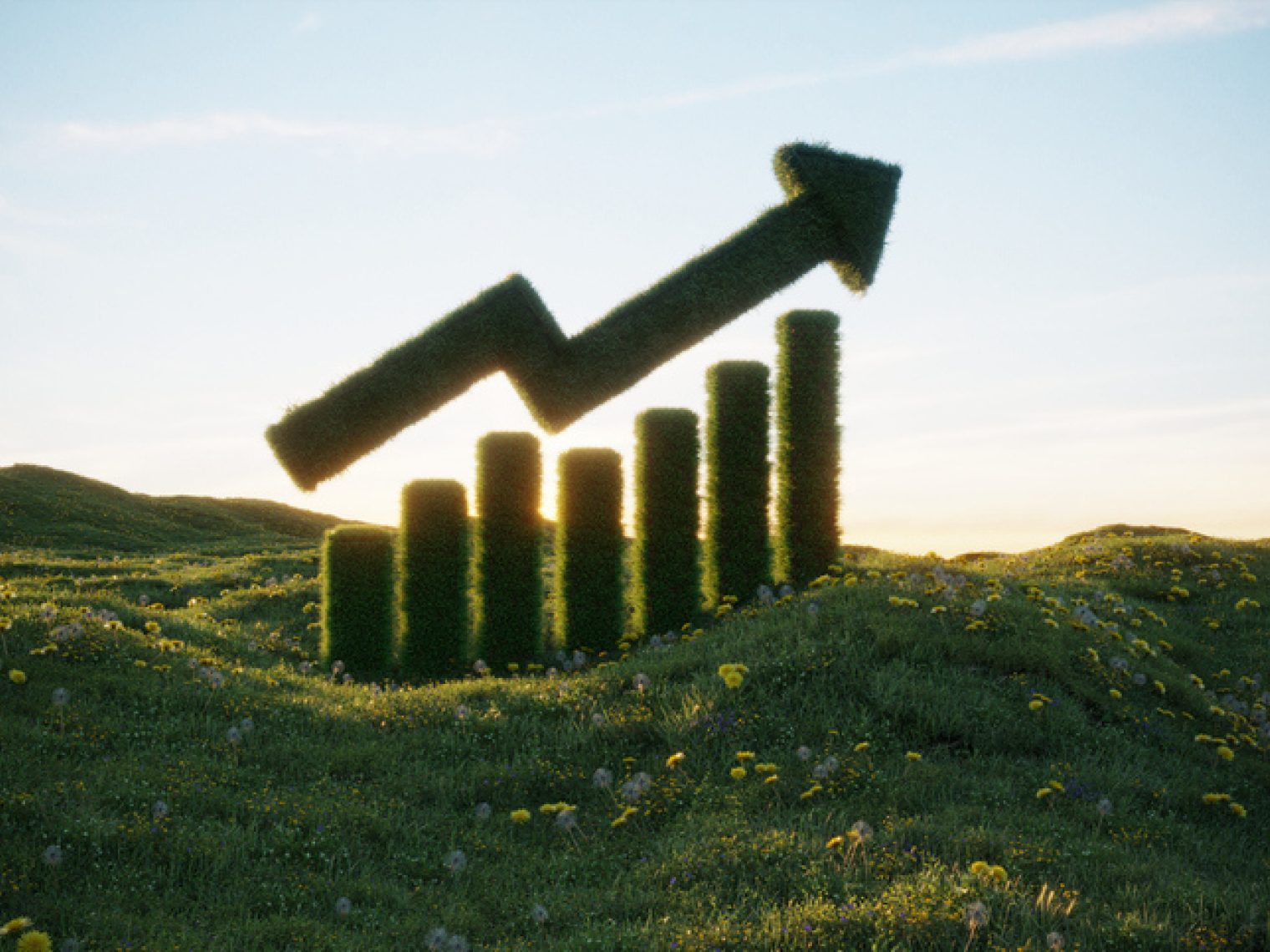 A conceptual image showing a bar graph and an upward arrow made of hedges in a grassy field, illuminated by sunlight.